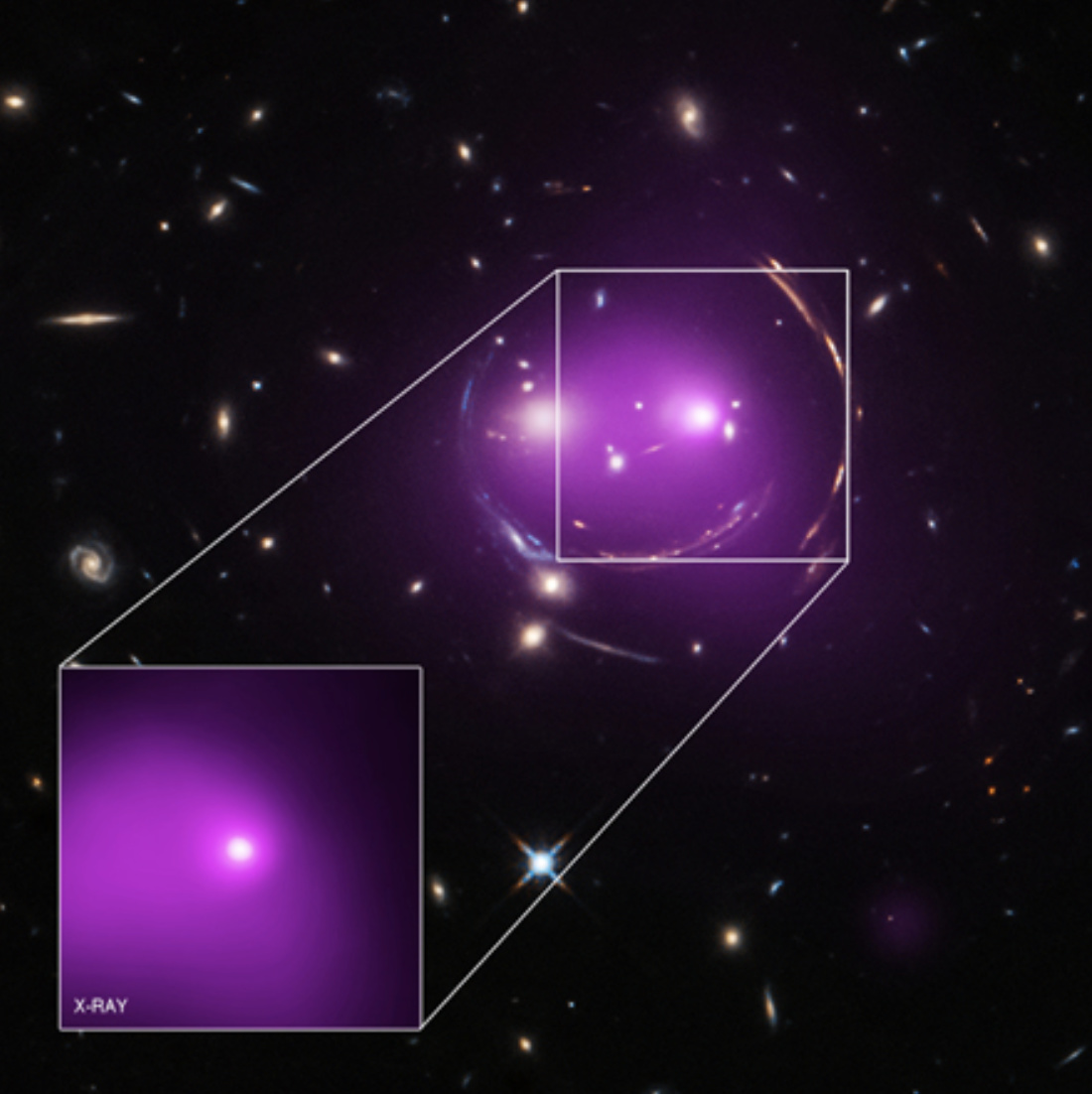 The Cosmic Smile of the Cheshire Cat GL Catalog